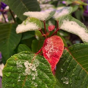 Meet your Posher, Eddie